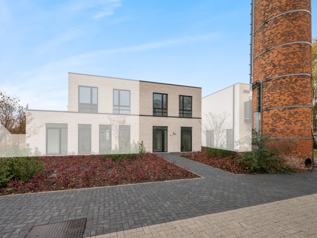 Wijnveld - 4D - - B0 0.2 - 9112