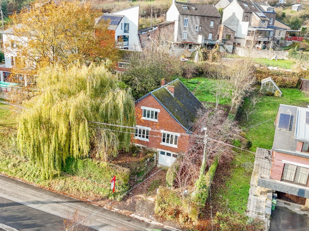 Rue des Loups - 1 - - 4520