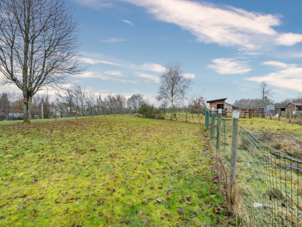 Rue des Champs - Radelange - 3 - - 6630