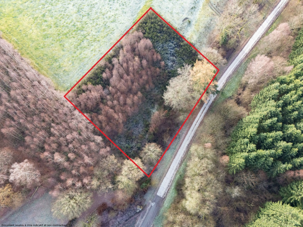 Rue du Mont - 0 - - 6887