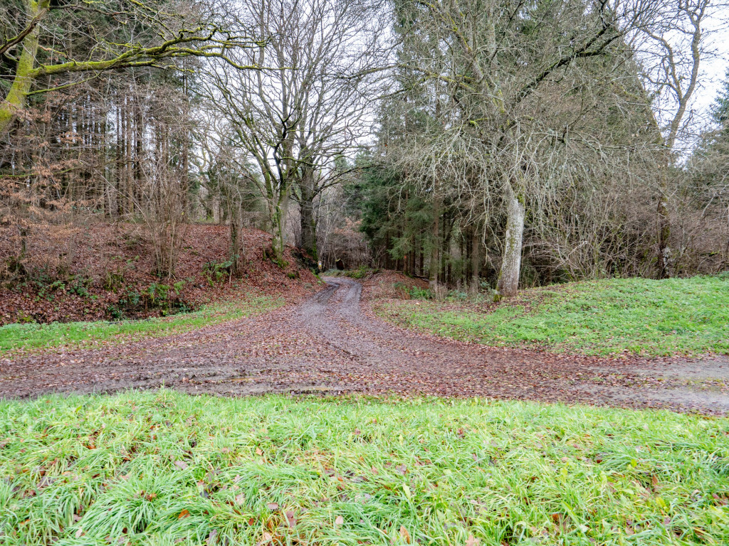 Chemin de Florêt - LOT 3 - - 4990