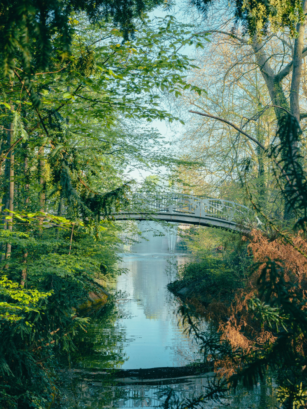 sint-niklaas
