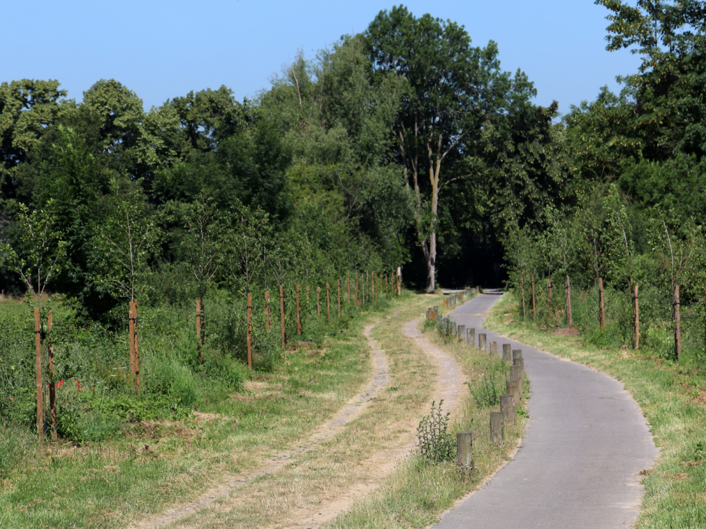 Photo de la nature à Ophain.