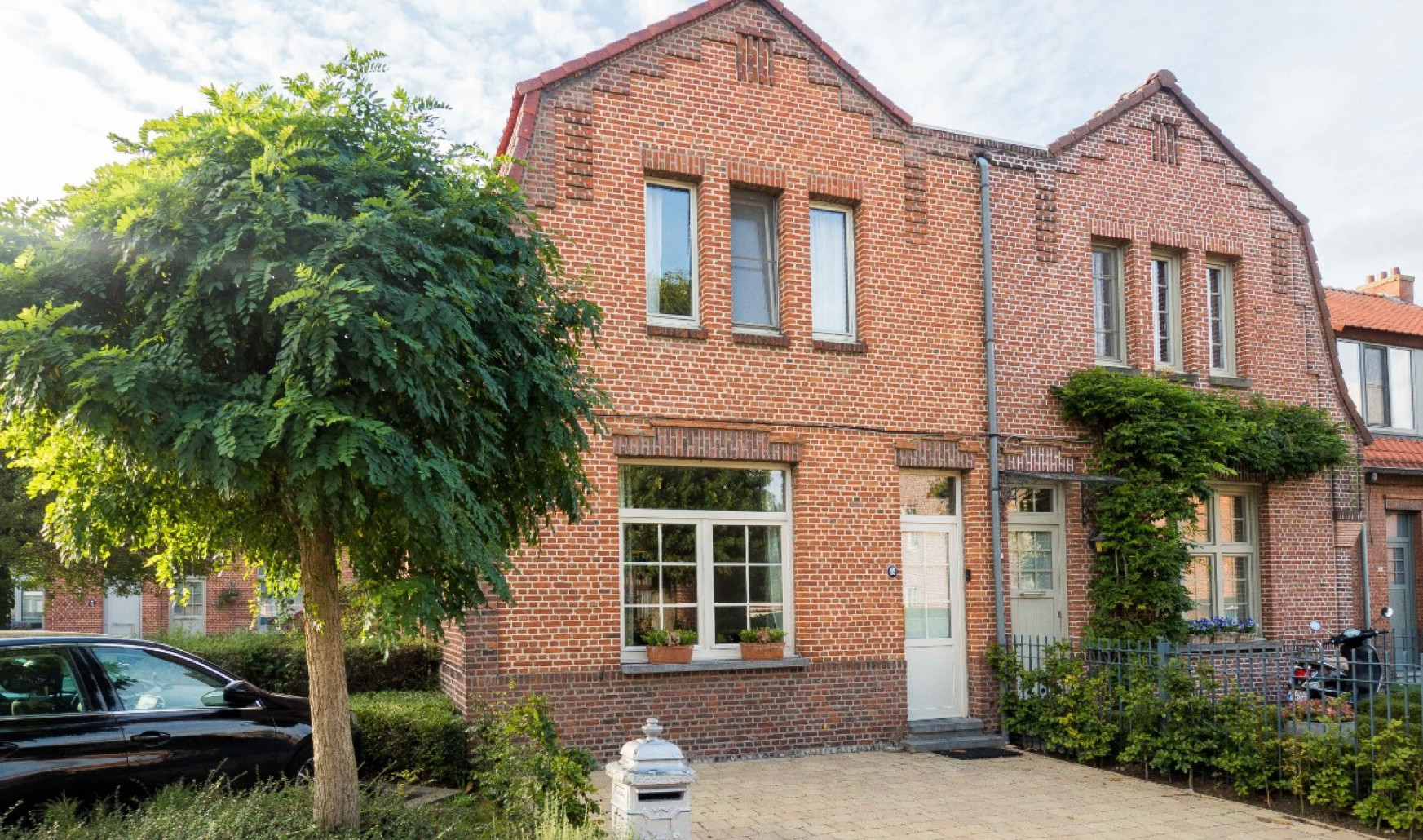 Mayerlei - 65 - - 2640