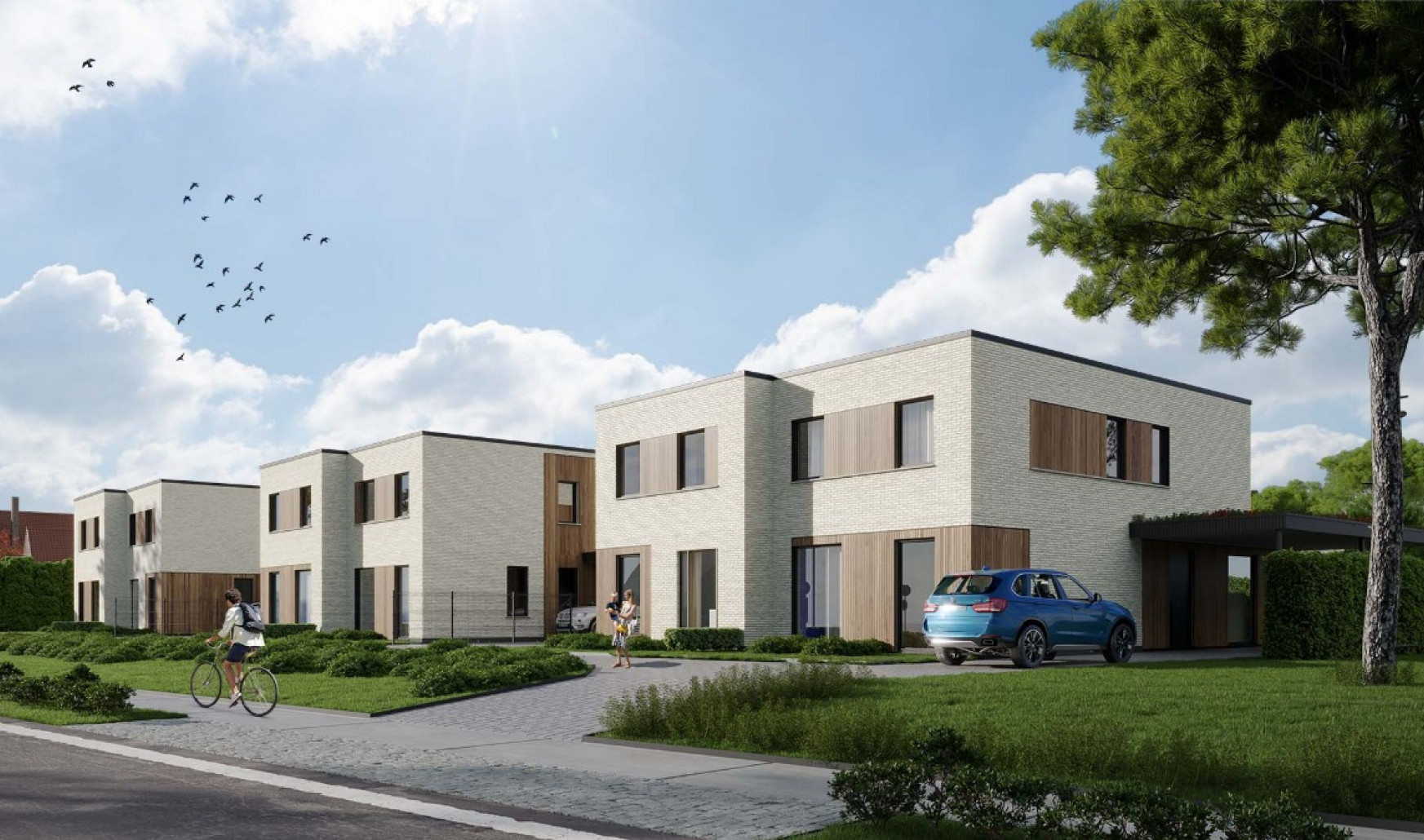 Oudenaardsesteenweg - 214B - - Lot 3 - 8580