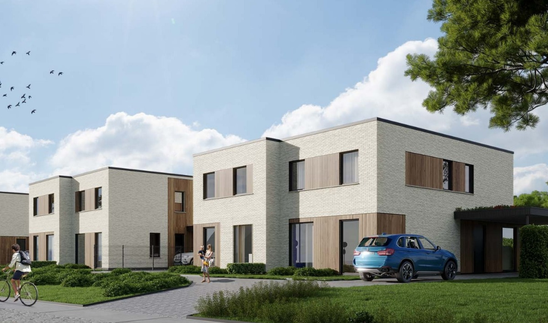 Oudenaardsesteenweg - 216 - - Lot 4 - 8580