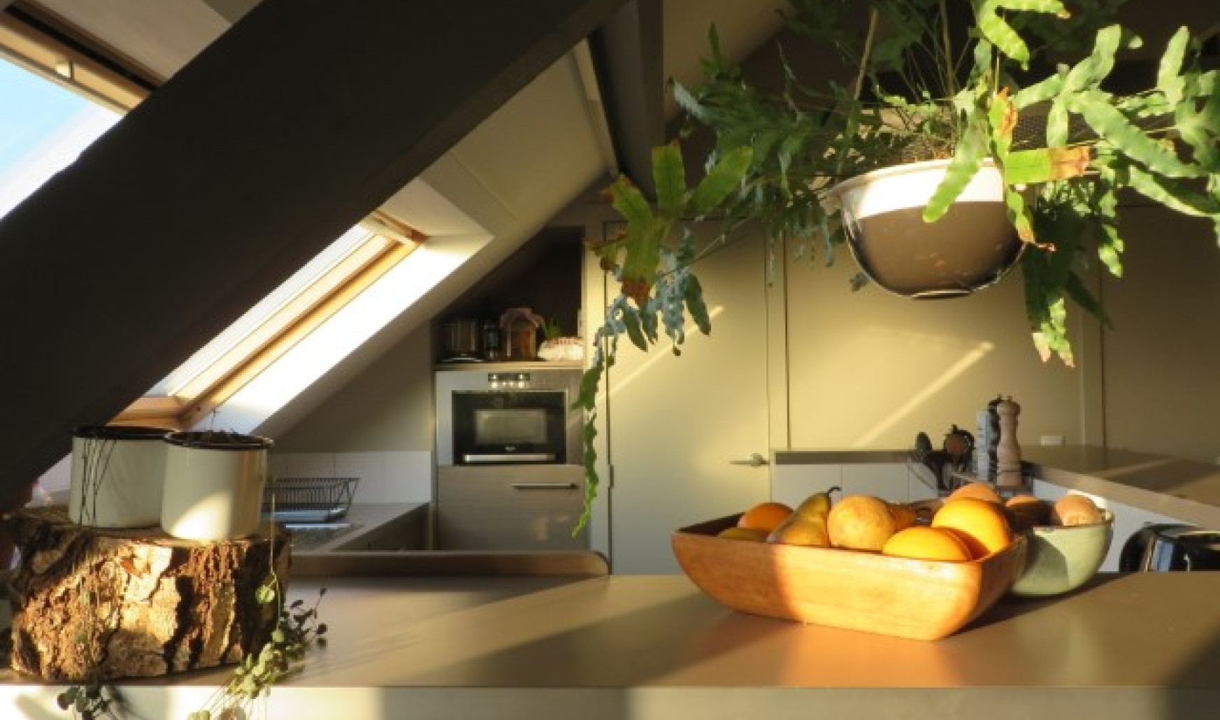 Pluimstraat - 1 - 0031 - 8500