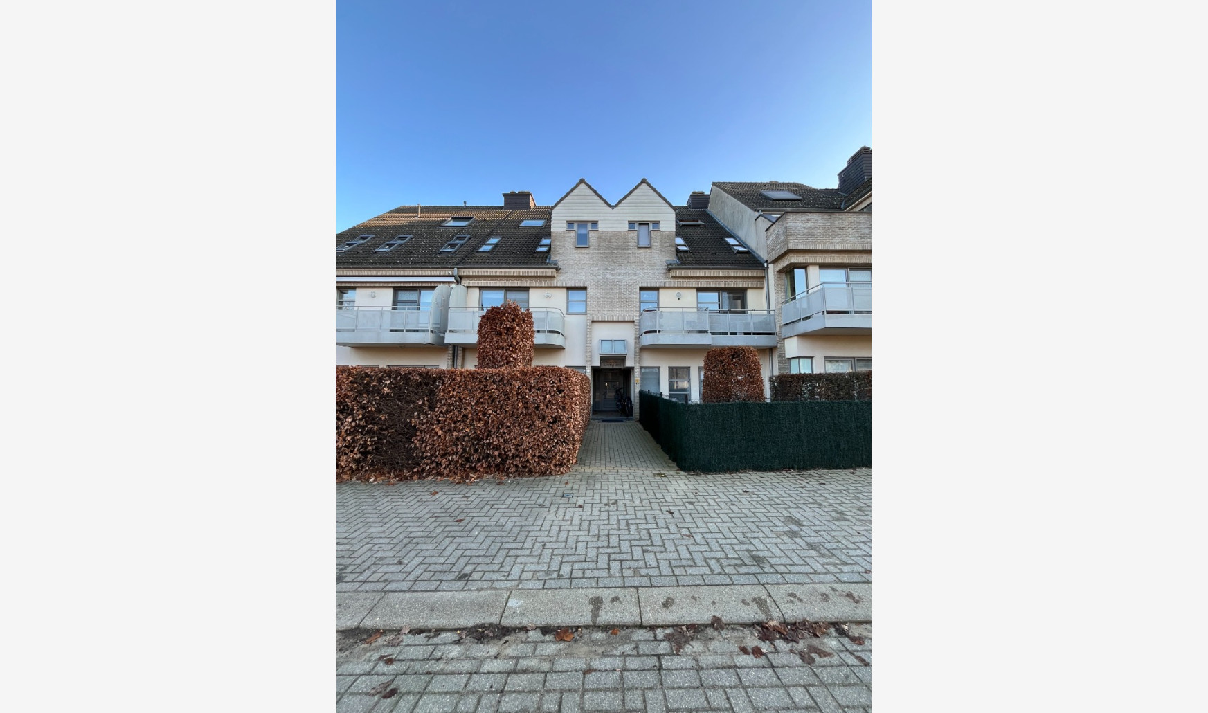 Hoogveld - 6 - 1 - 3550