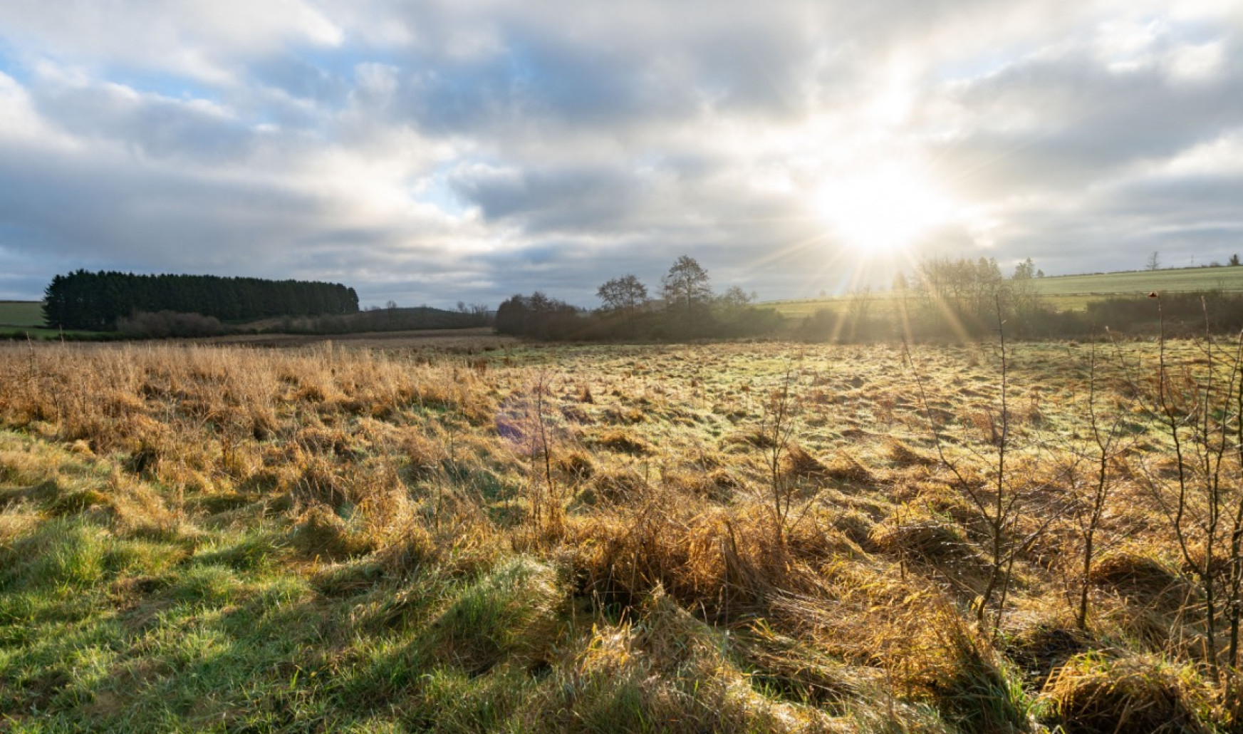 A la fange du Meunier - 0 - - 6642