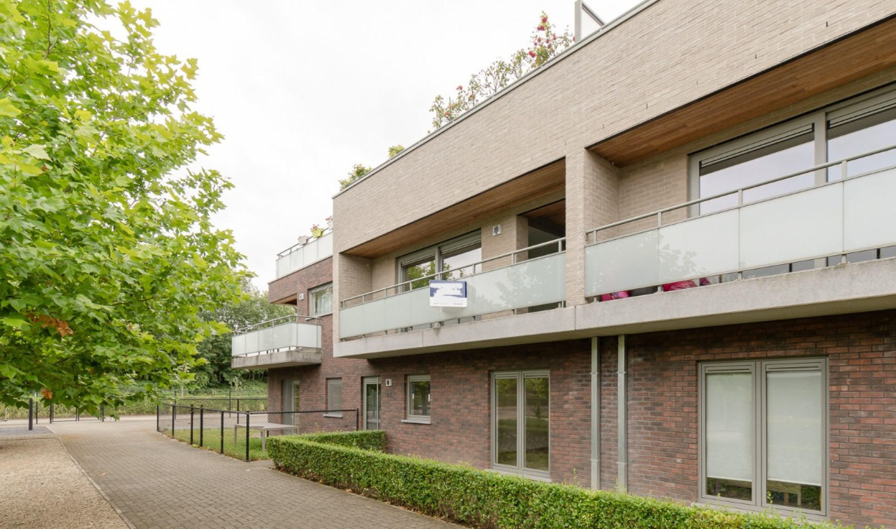 Abeelstraat - 83 - 0101 - 2800