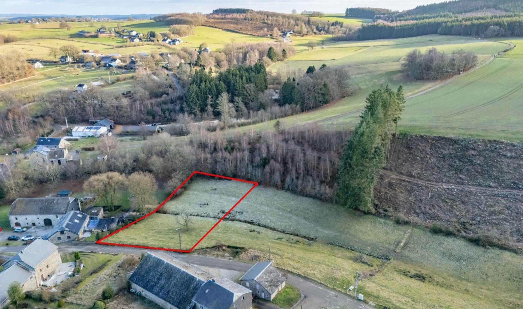 buisson - LOT 2 - division - 6980