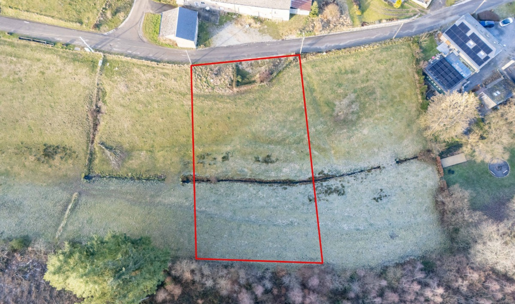 Buisson - LOT 3 - division - 6980