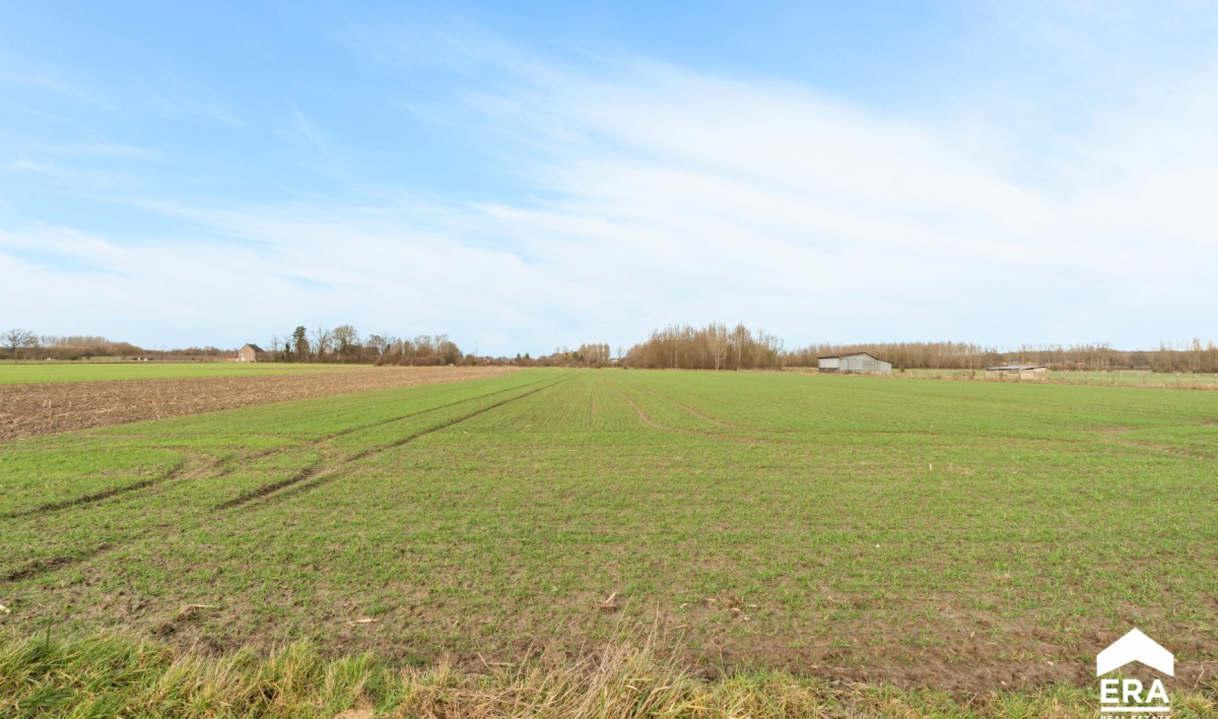 Pelsstraat - 97 - bus + - 3350