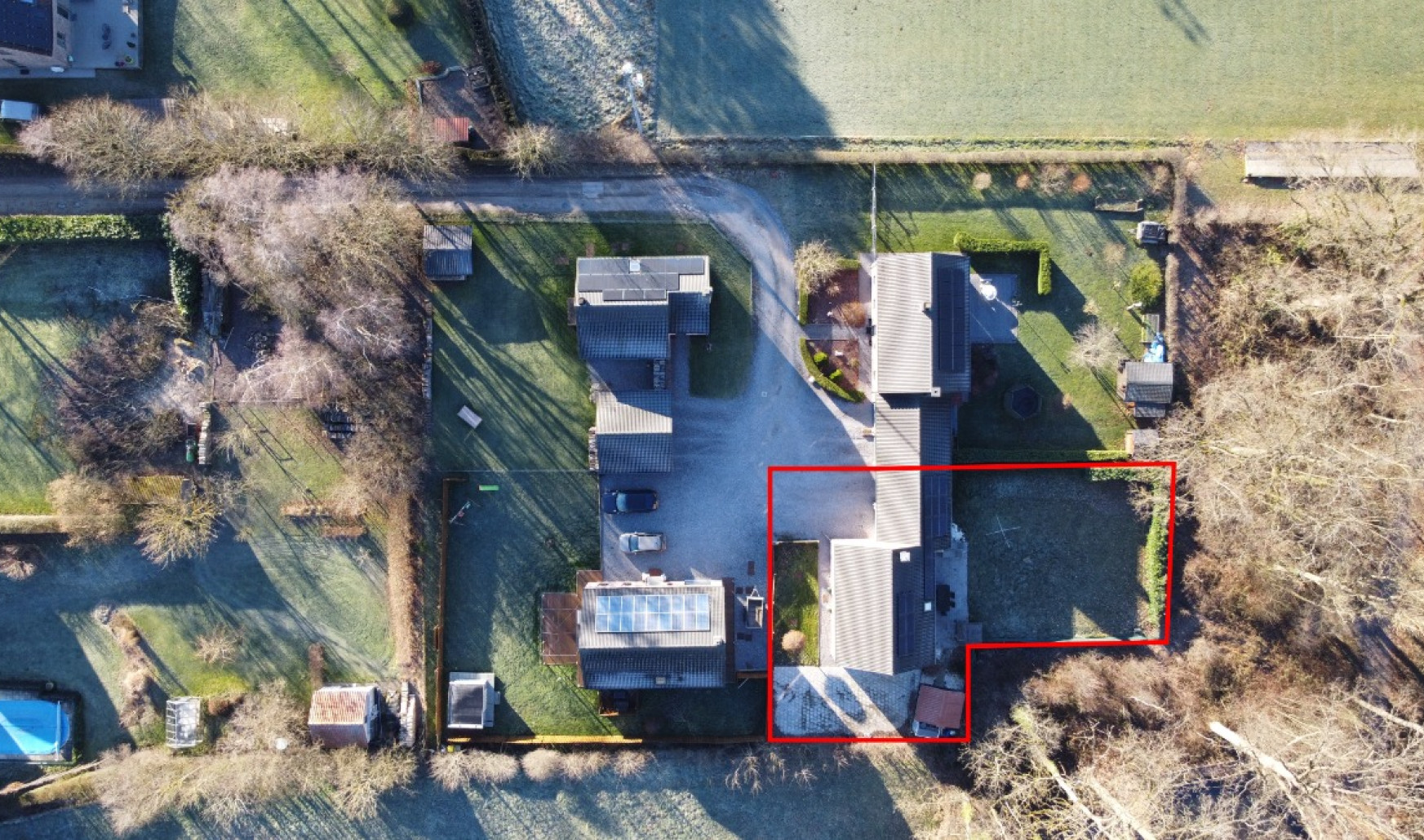 Tige des Saules - 36 - - 4550