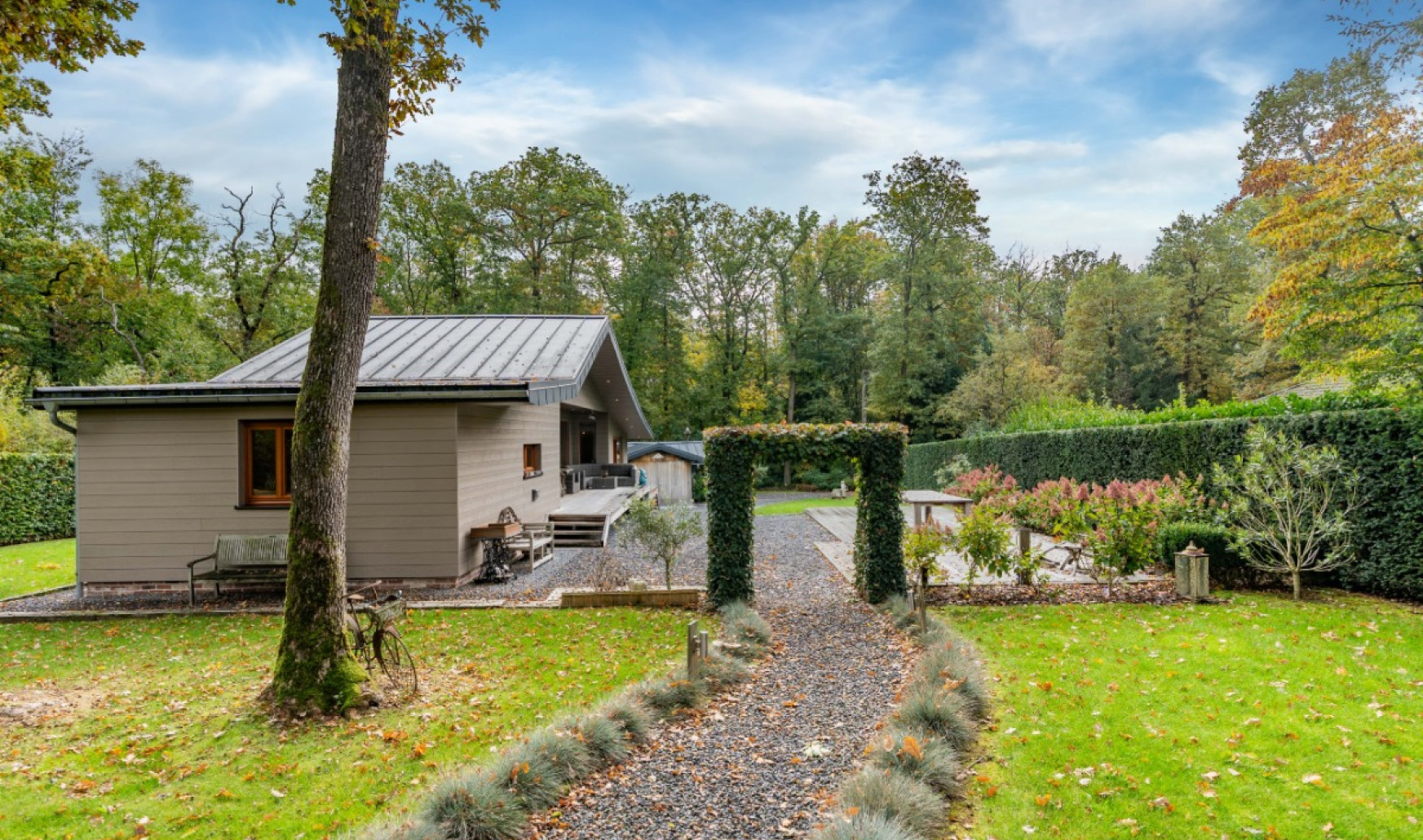 Chemin des Sangliers - 222 - - 5377