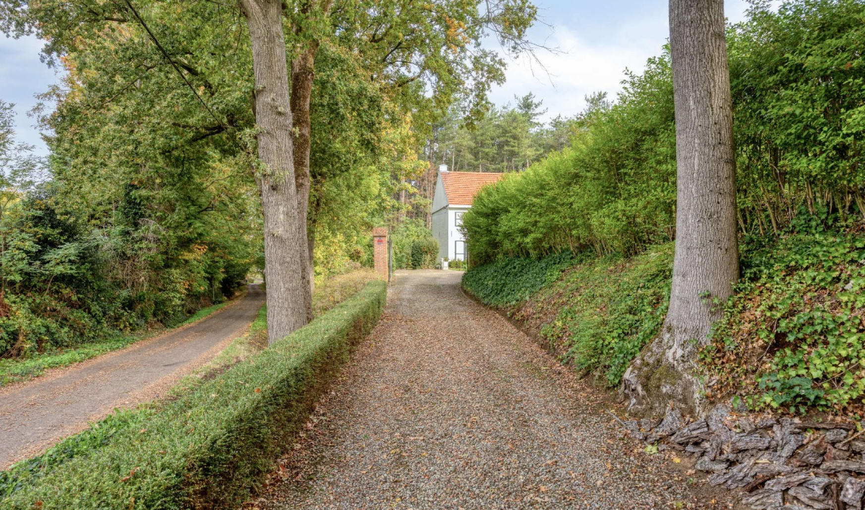 Wijnstraat - 11 - - 3290