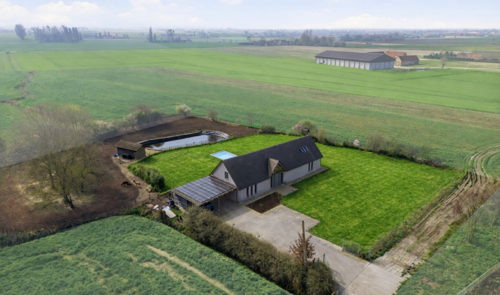 Beverenstraat - 80 - - 8691