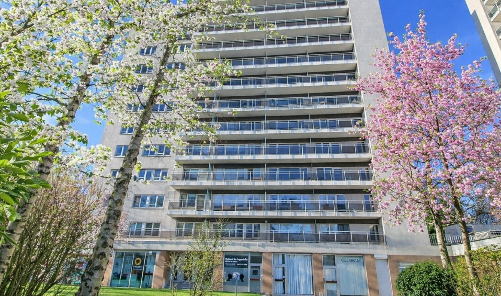 Avenue des immortelles - 3 - 0 - 1070
