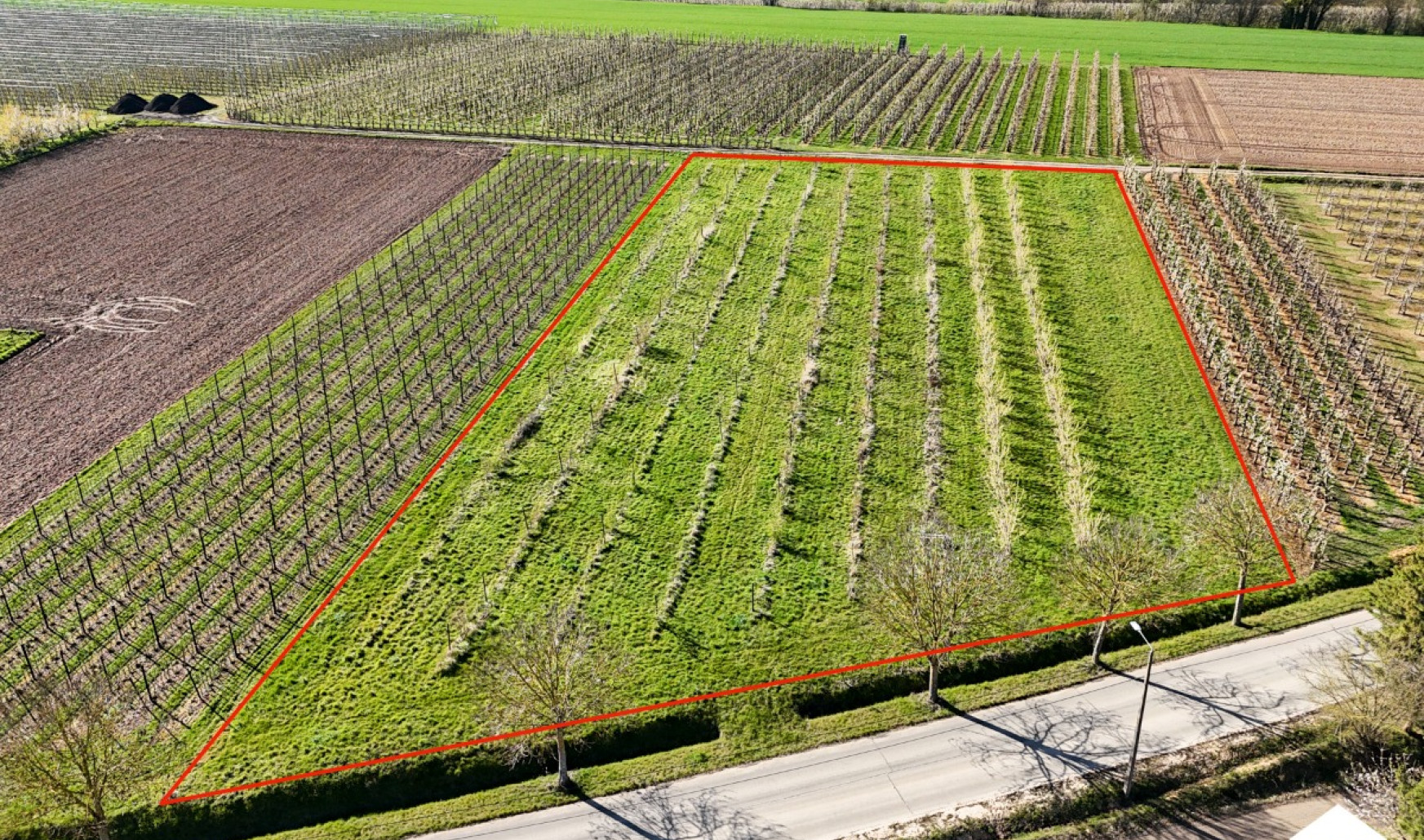 Egovenstraat - zn - - 3800