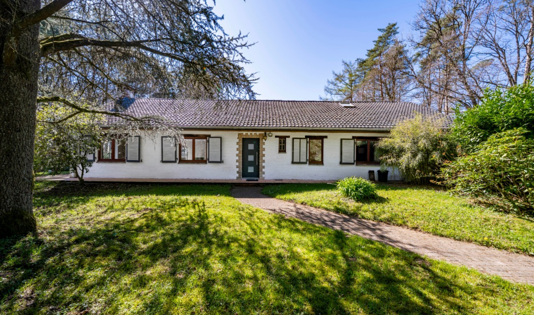 Rue du Chalet - 43 - - 6747