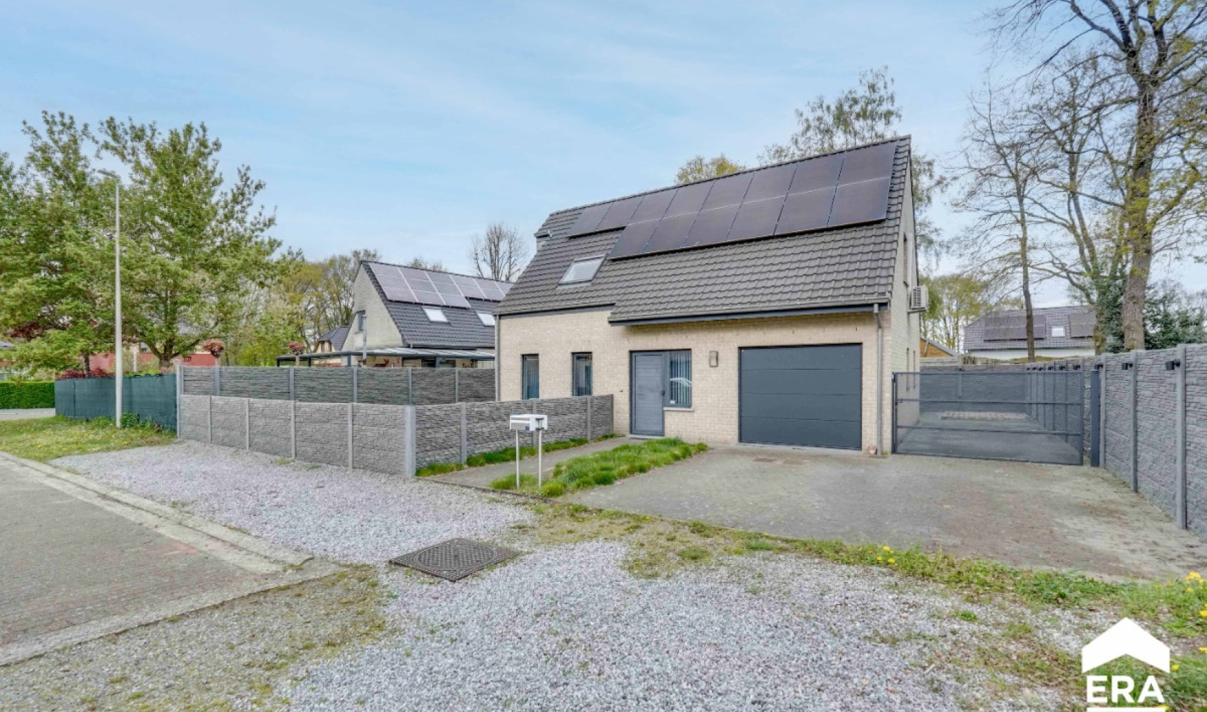 Boekweitveld - 17 - - 3990