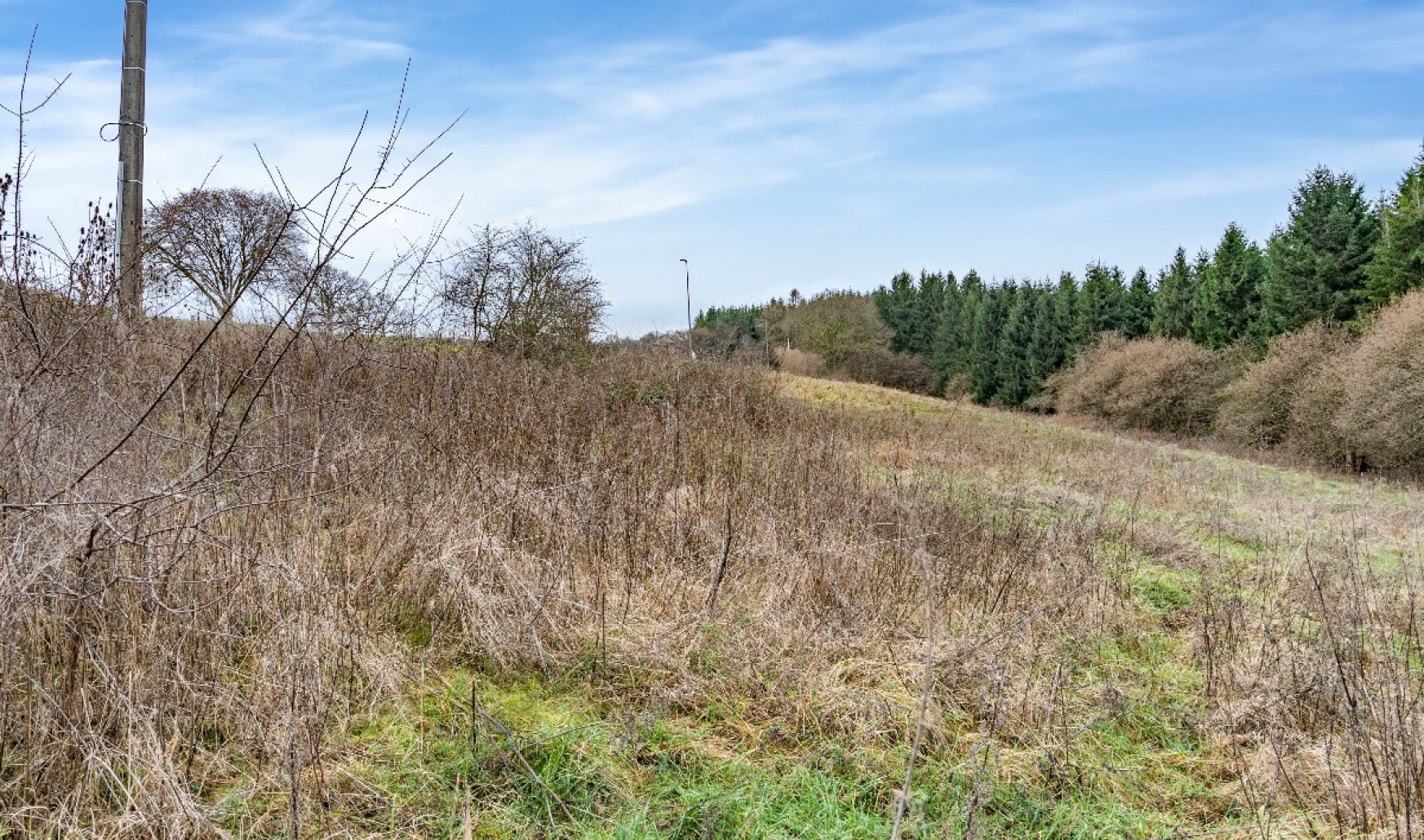 Chemin de Florêt - LOT 5 - - 4990