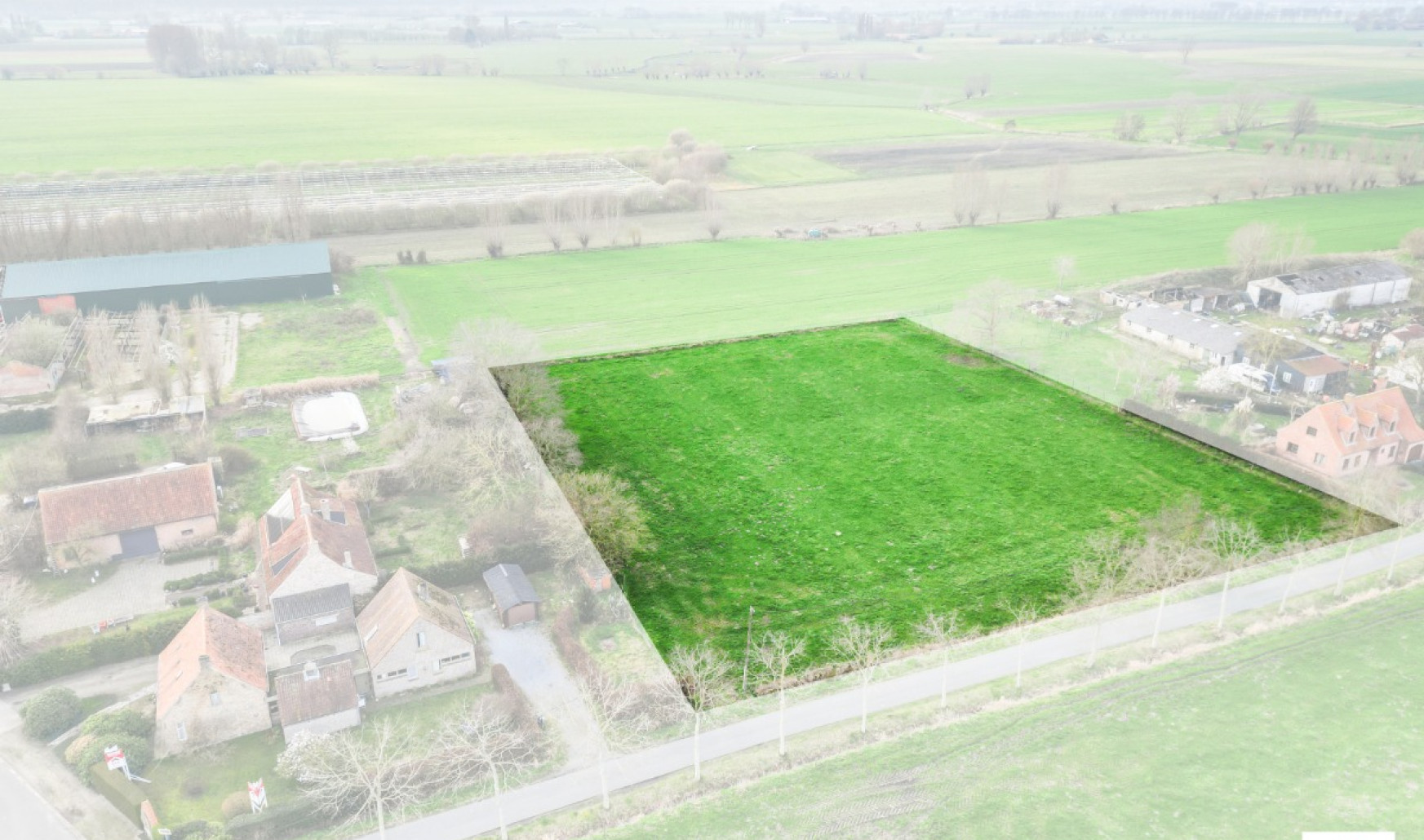 Haringgat - 10+ - - 8340