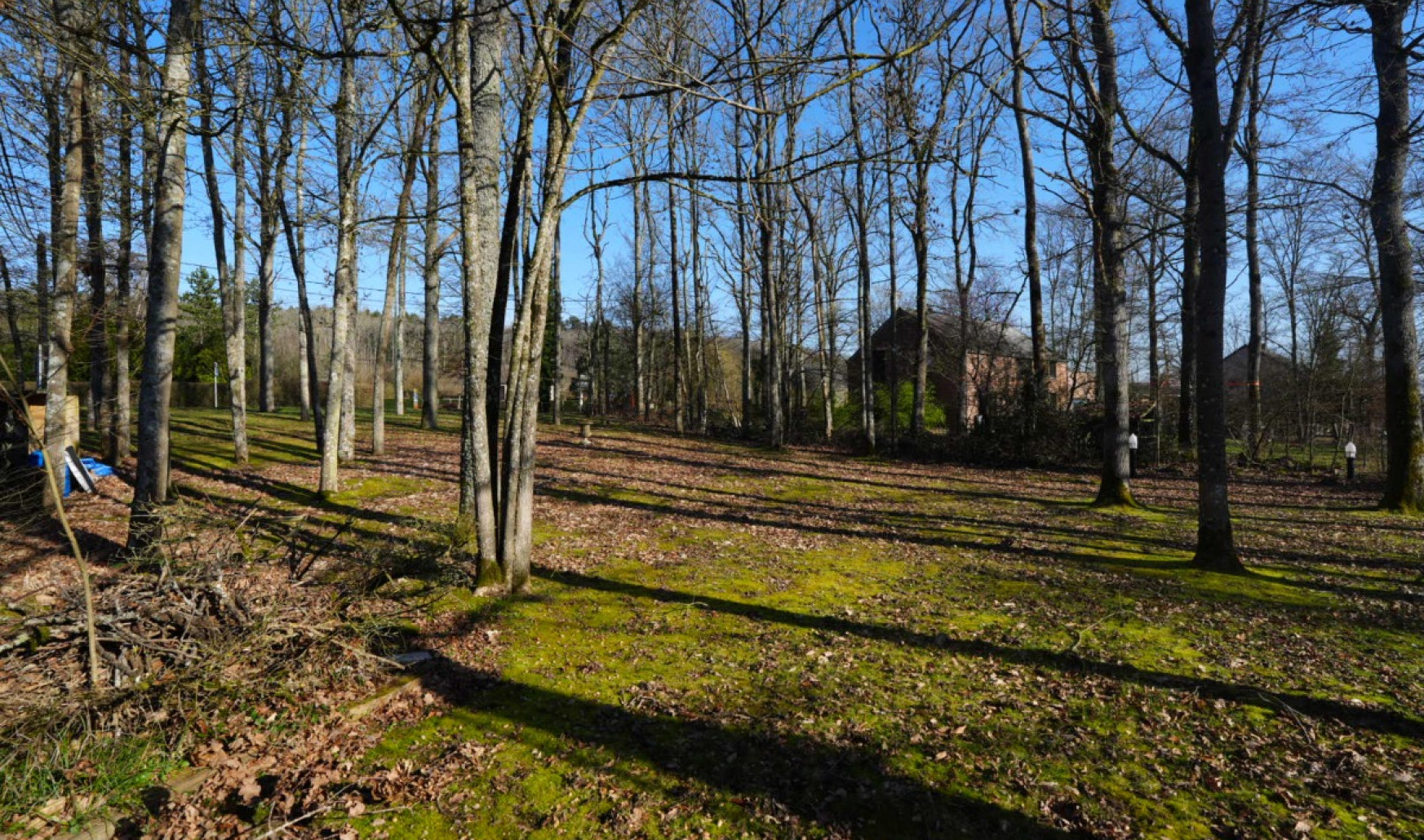 Route de Durbuy - 0 - - 6940