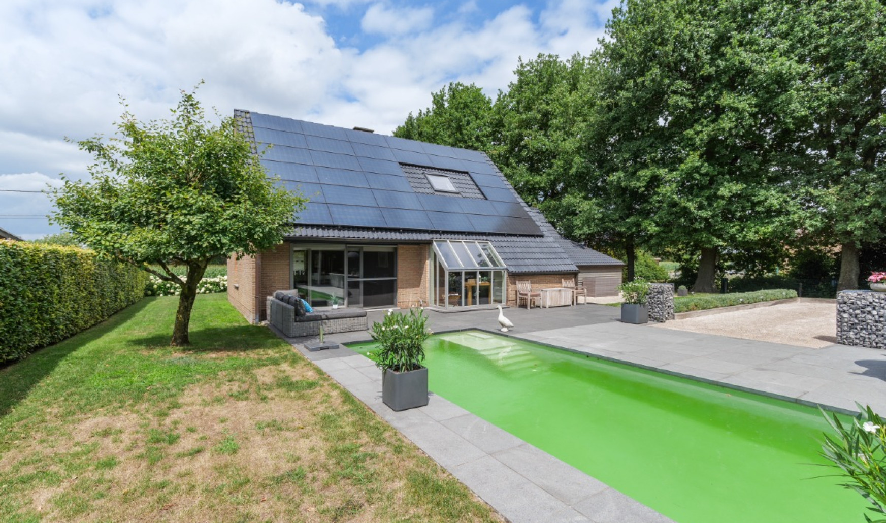 Winkelwarande - 22 - - 9042