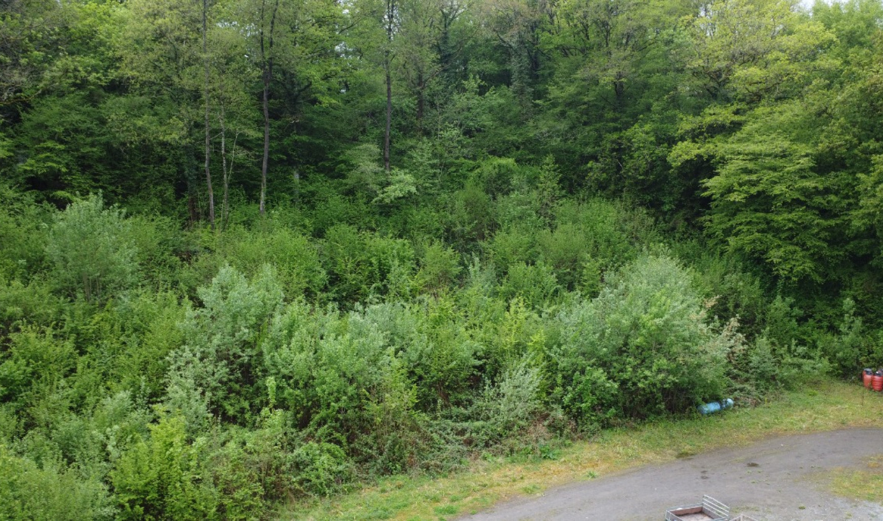 Route d'Inzemont - B44L - - 5540