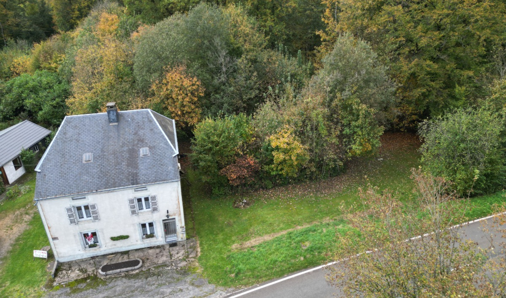 Rue de la Forêt - 76 - - 6821