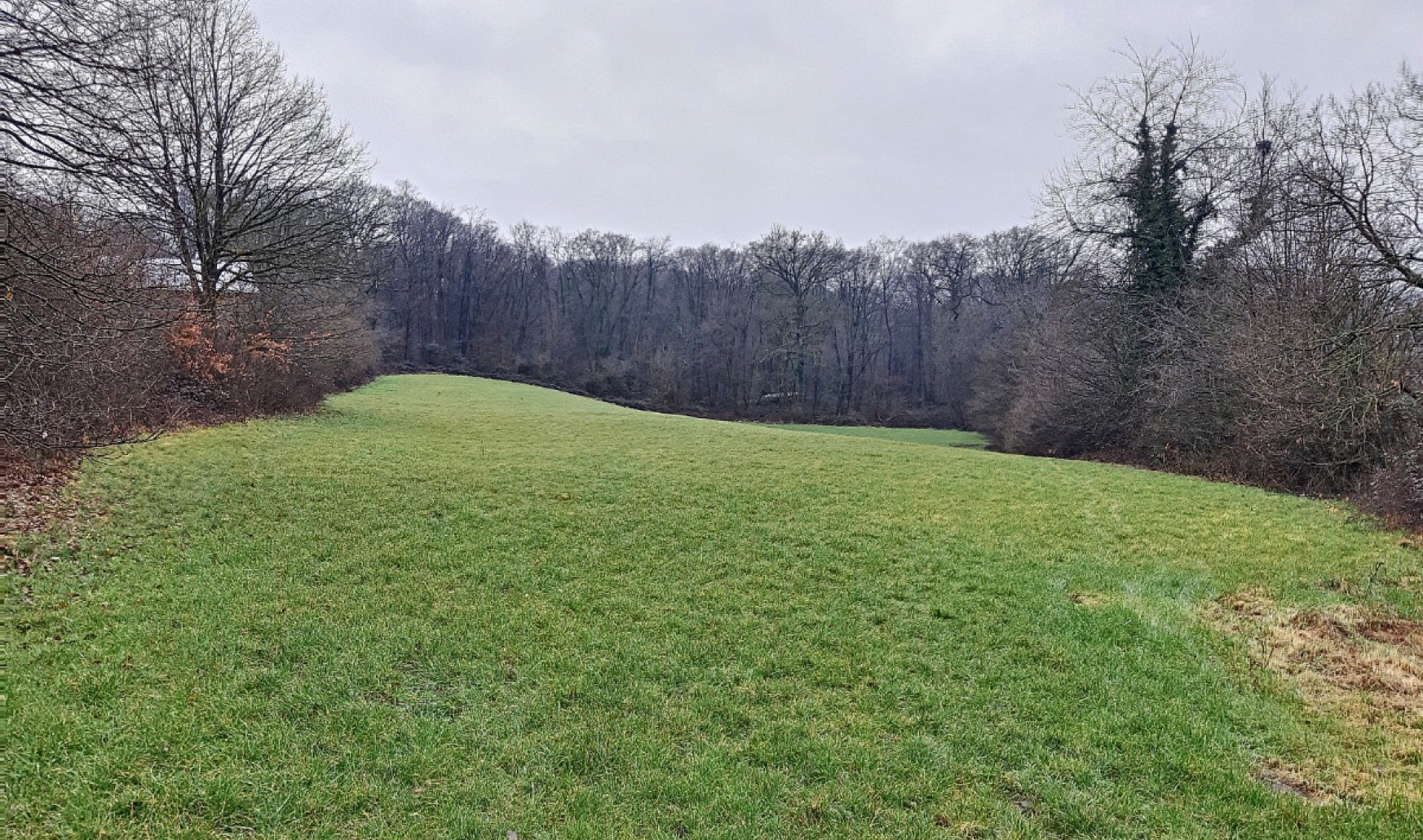 Rue du Puits - B9 - 00A - 4500
