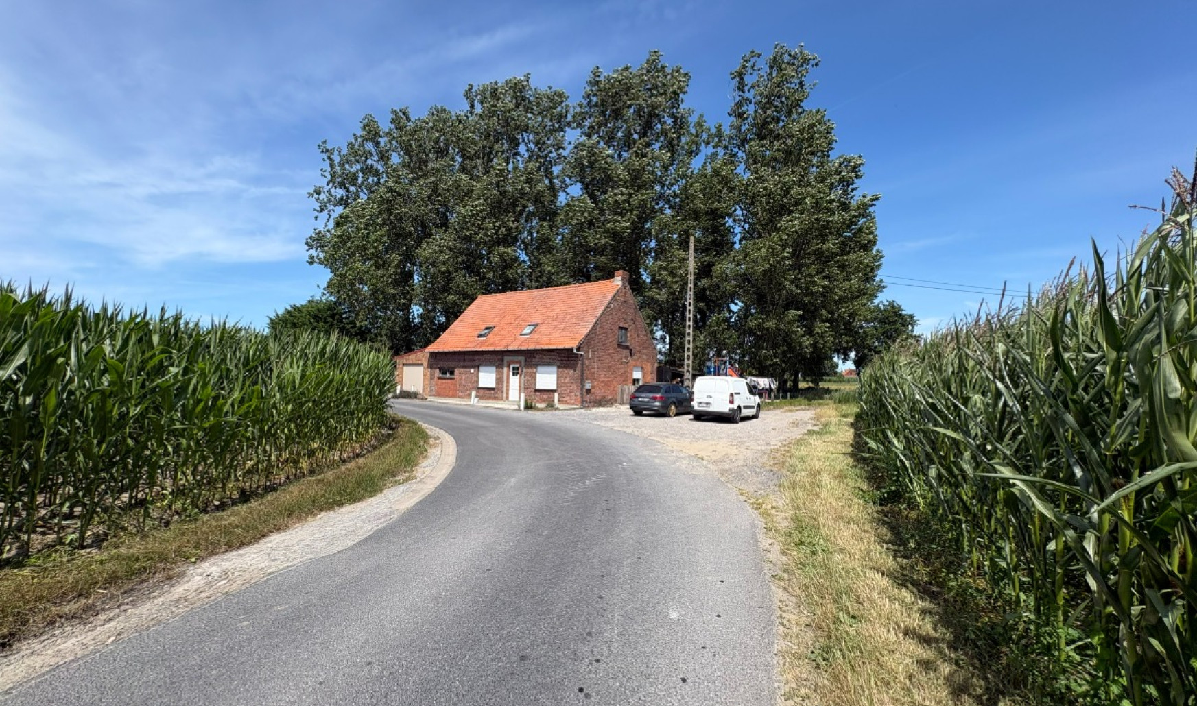 Lolliestraat - 12 - - 8890