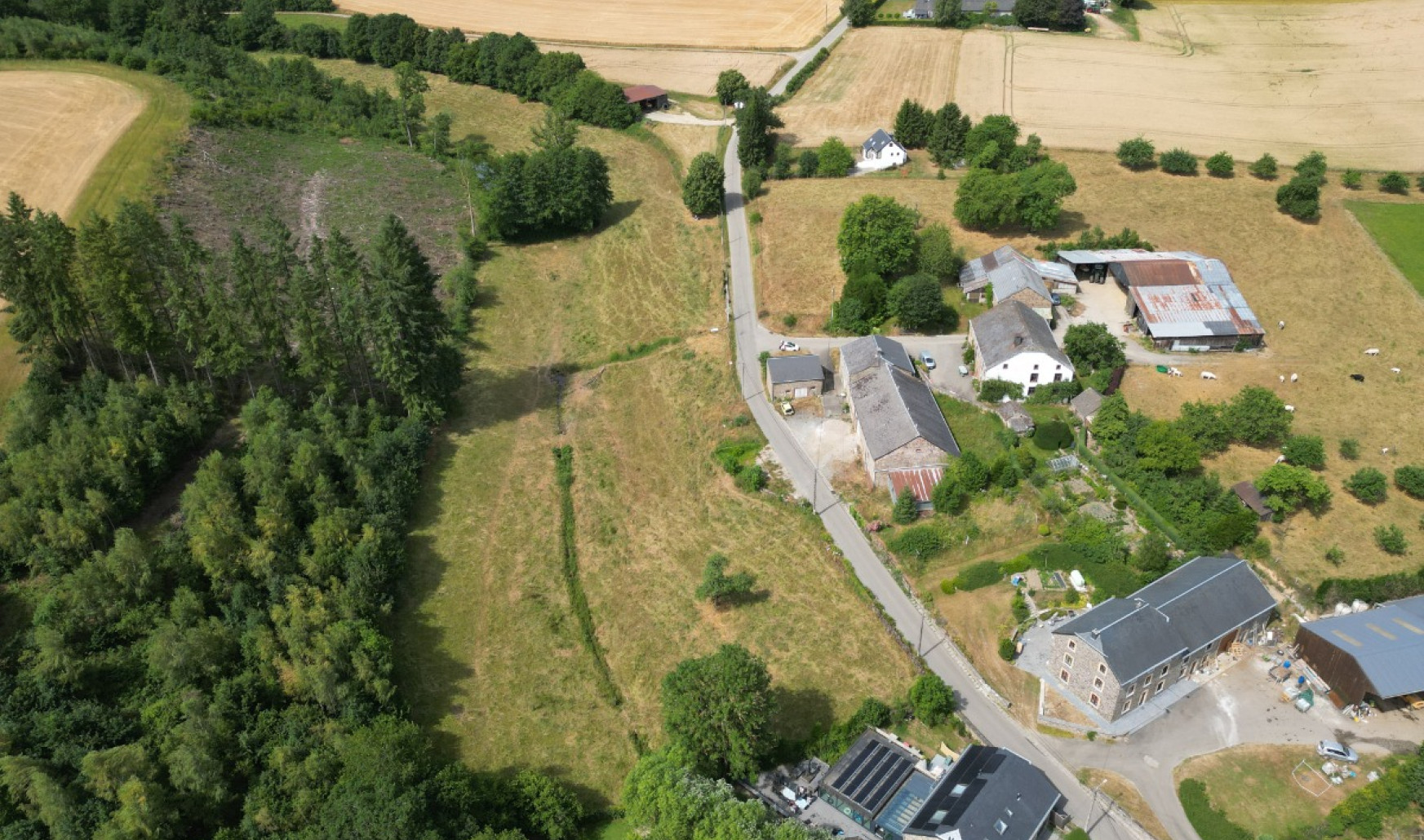Buisson - LOT 3 - division - 6980
