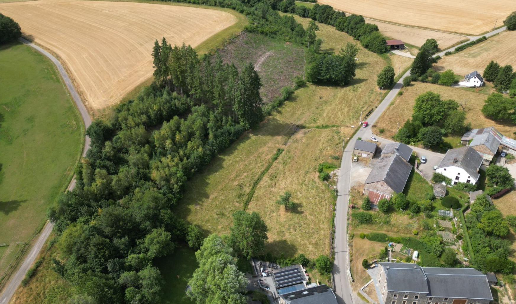 buisson - LOT 2 - division - 6980