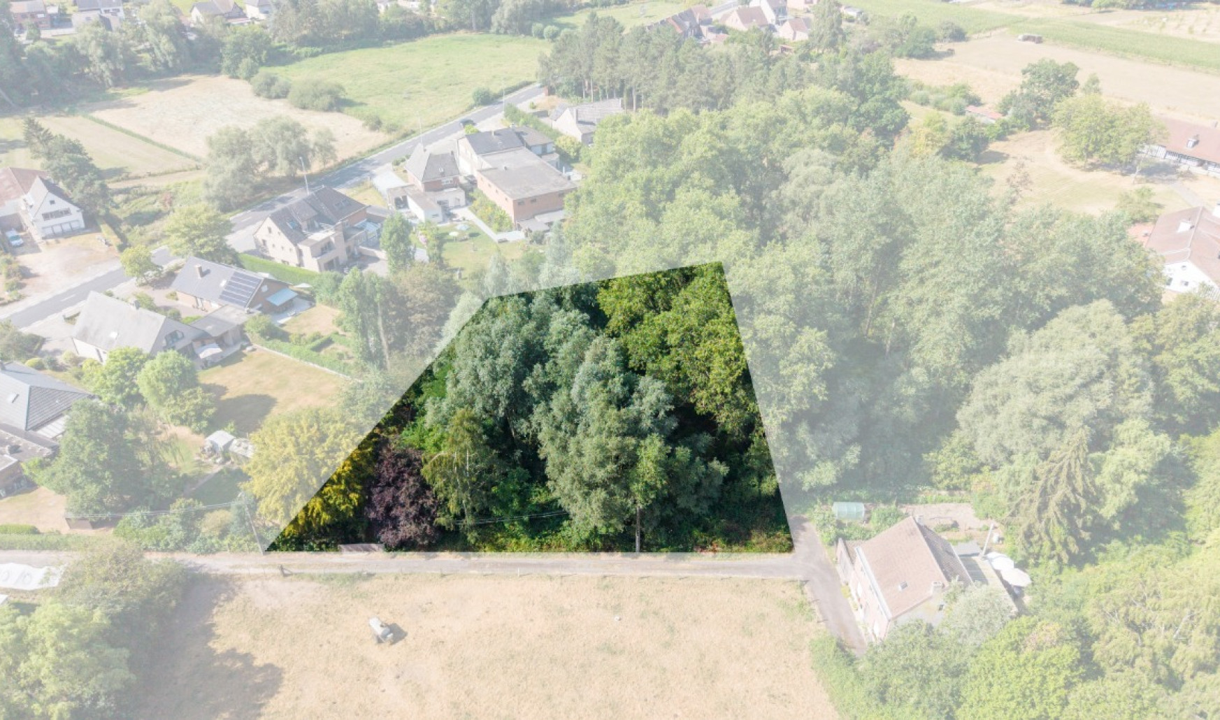 Pachting - X - - 9310