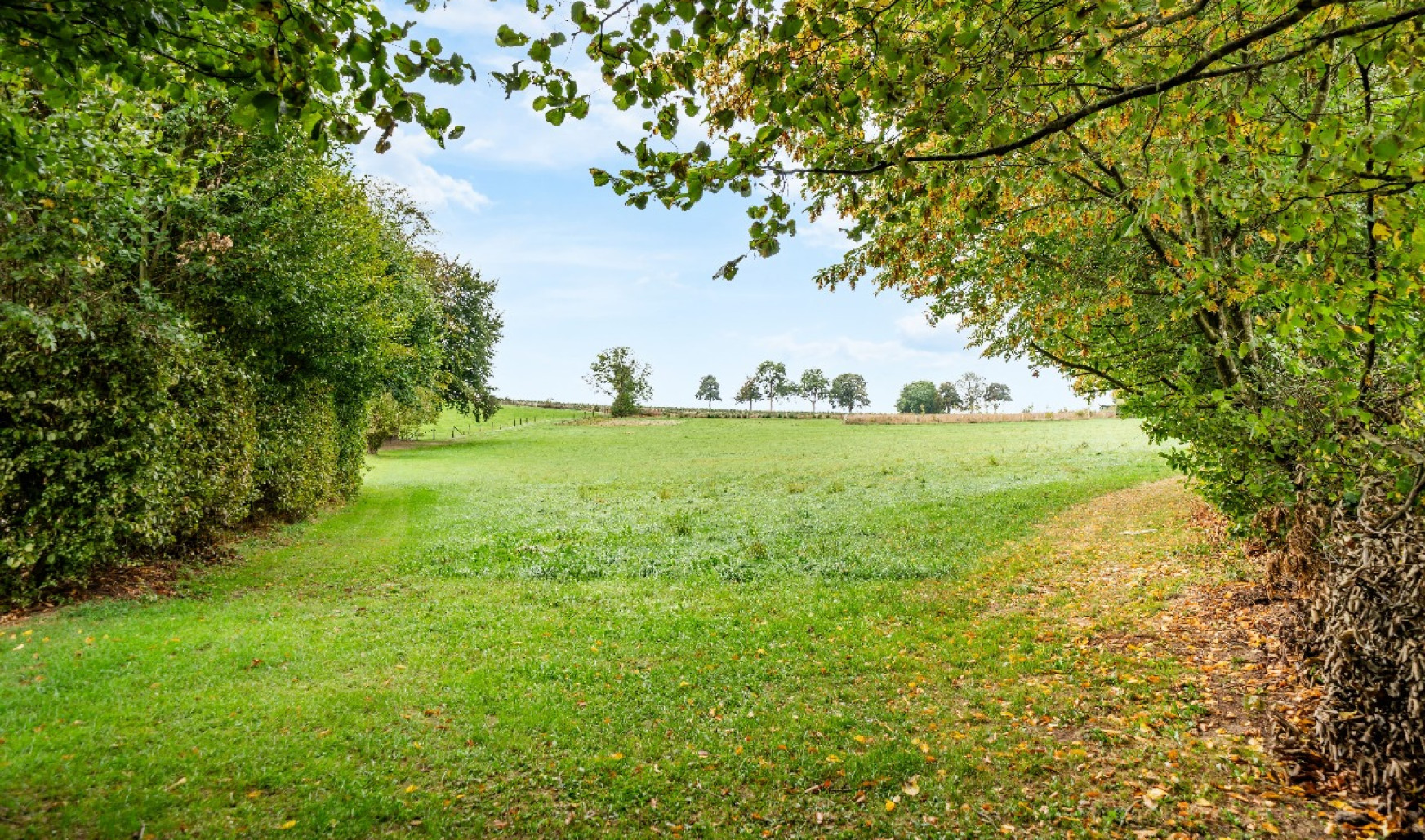 chemin des champs mayet - 15 - - 6840