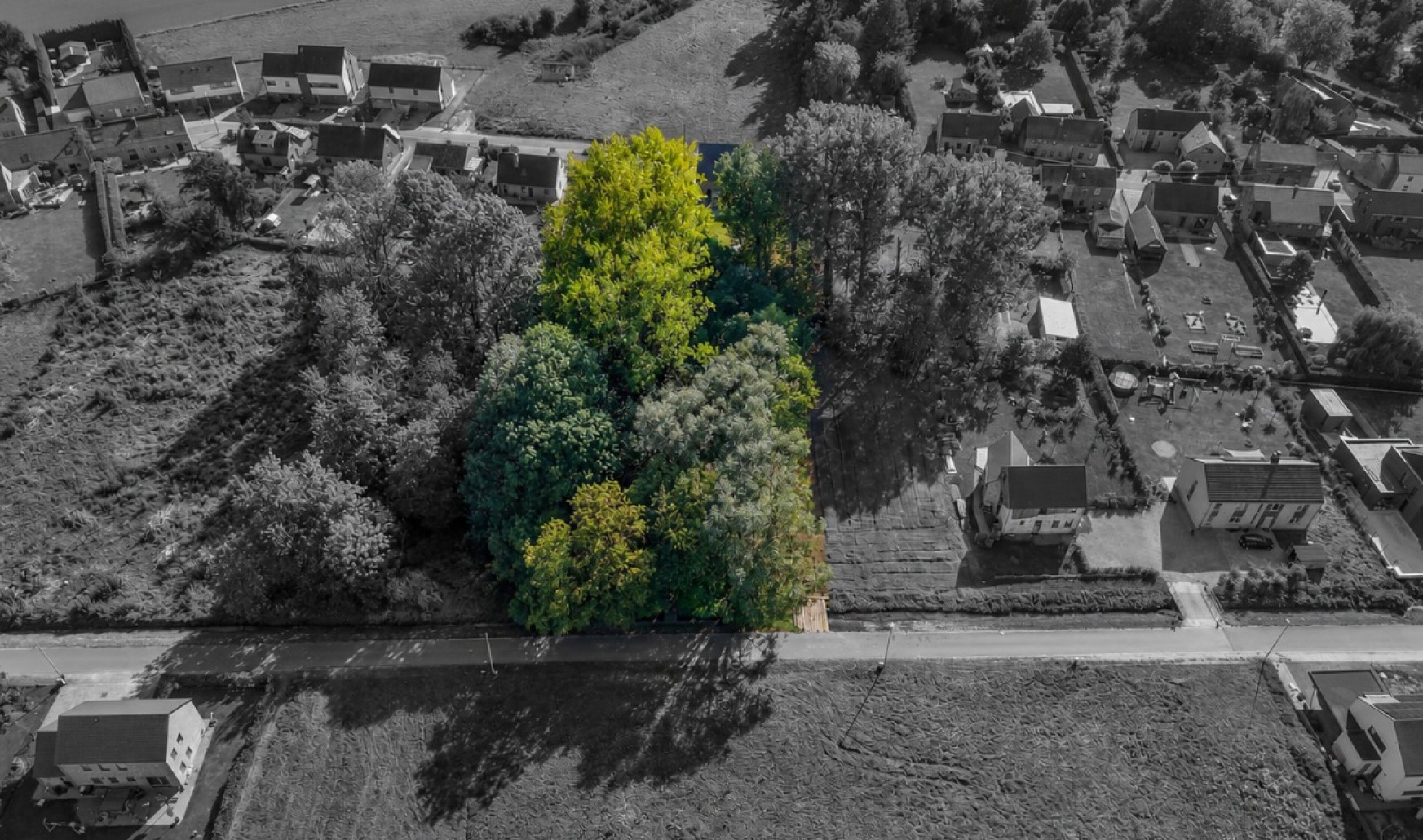 Rue Bois Notre Dame - 30 - - 5081