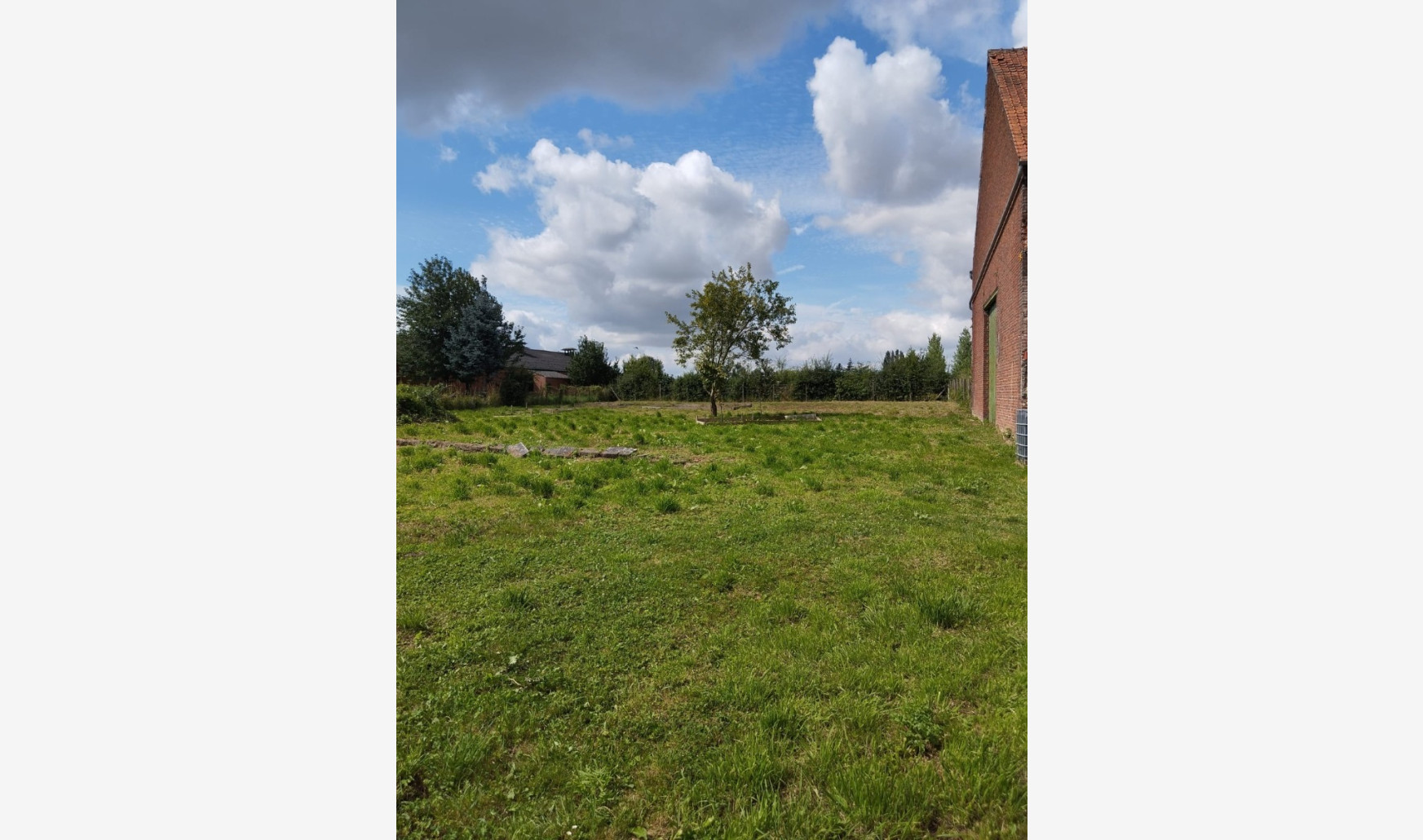 Rue de la Ligne - / - - 7387