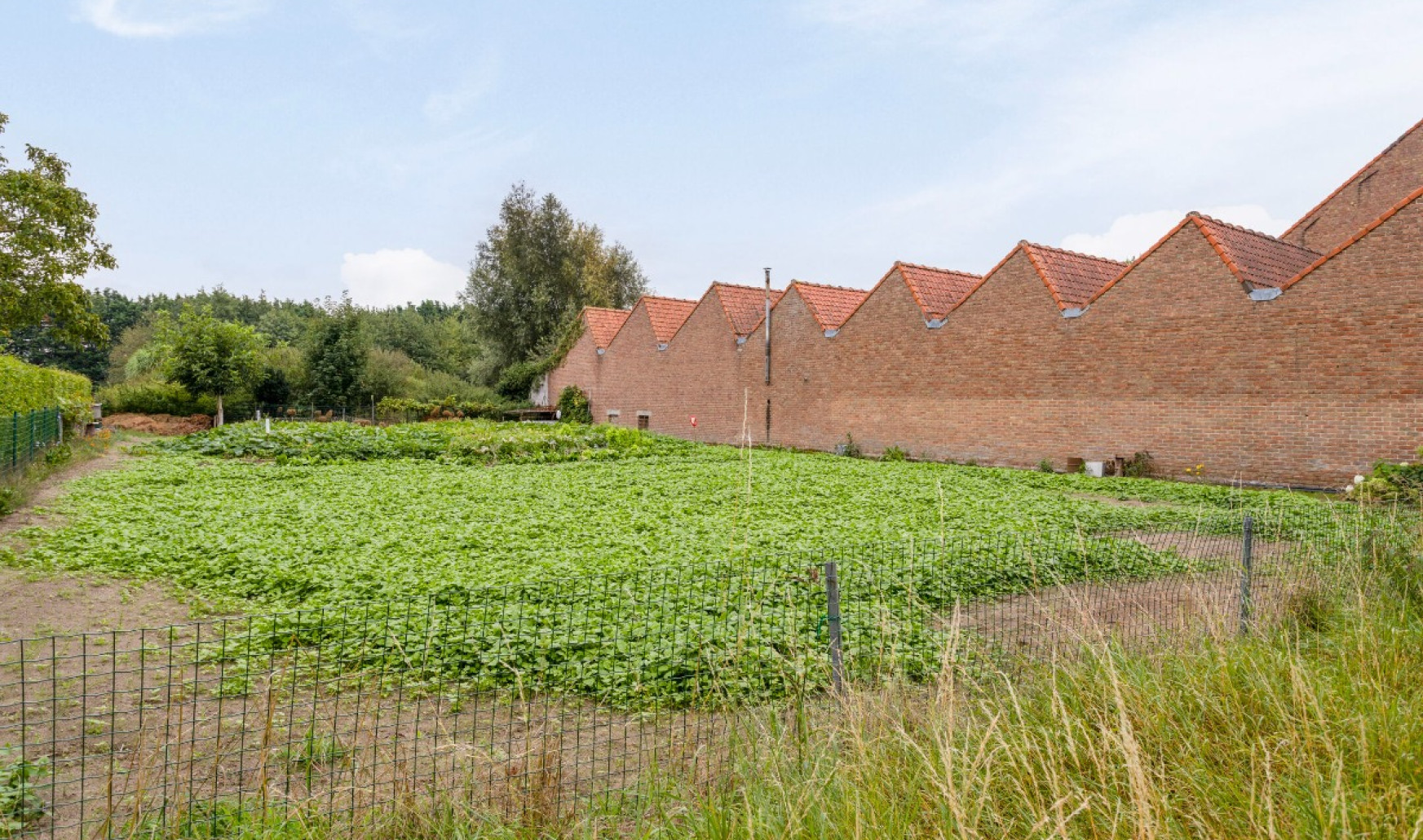 Heirweg - 42 - - 8710