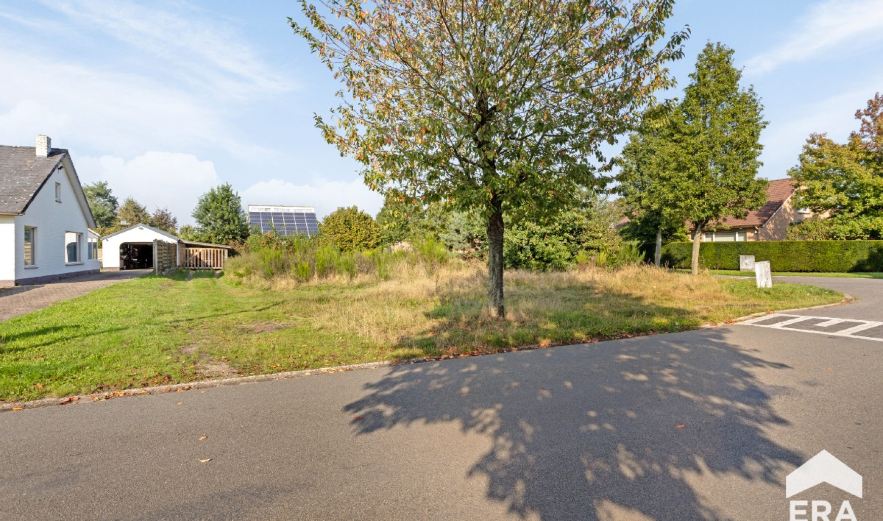 Sint-Franciscusstraat - 44 - - 3920