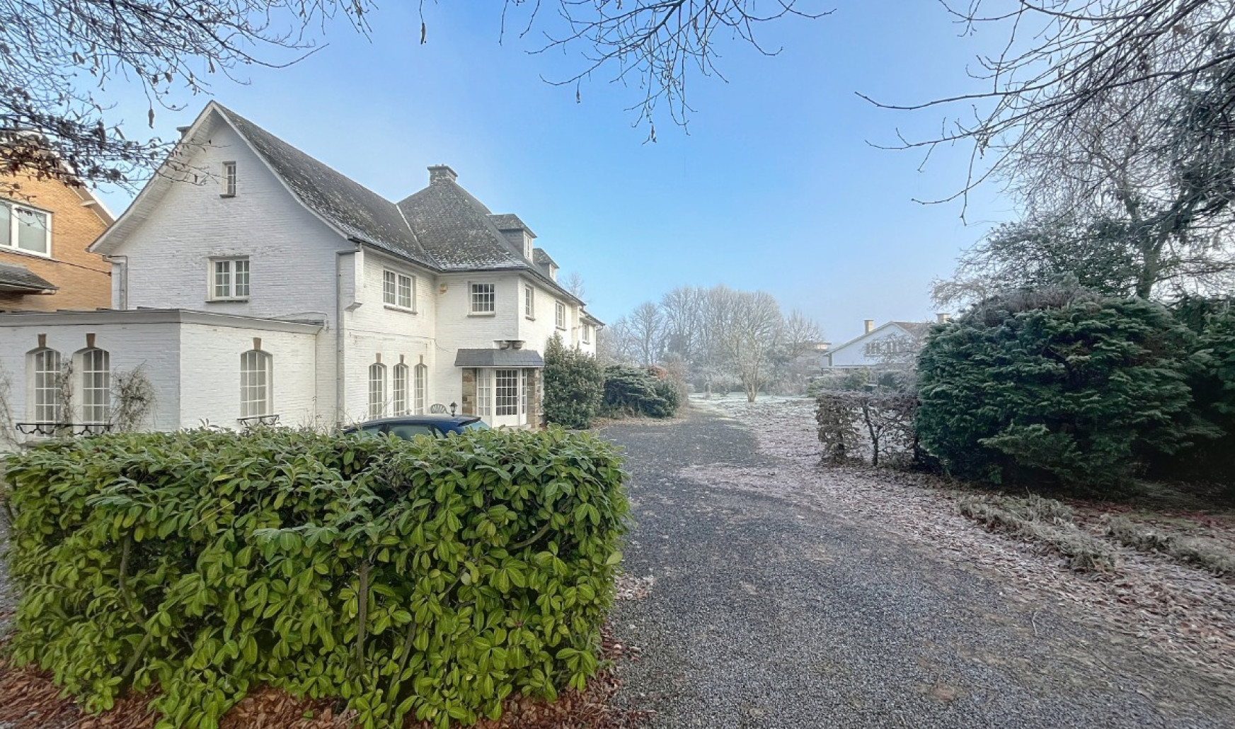 rue du hetre pourpre - 36 - - 4053