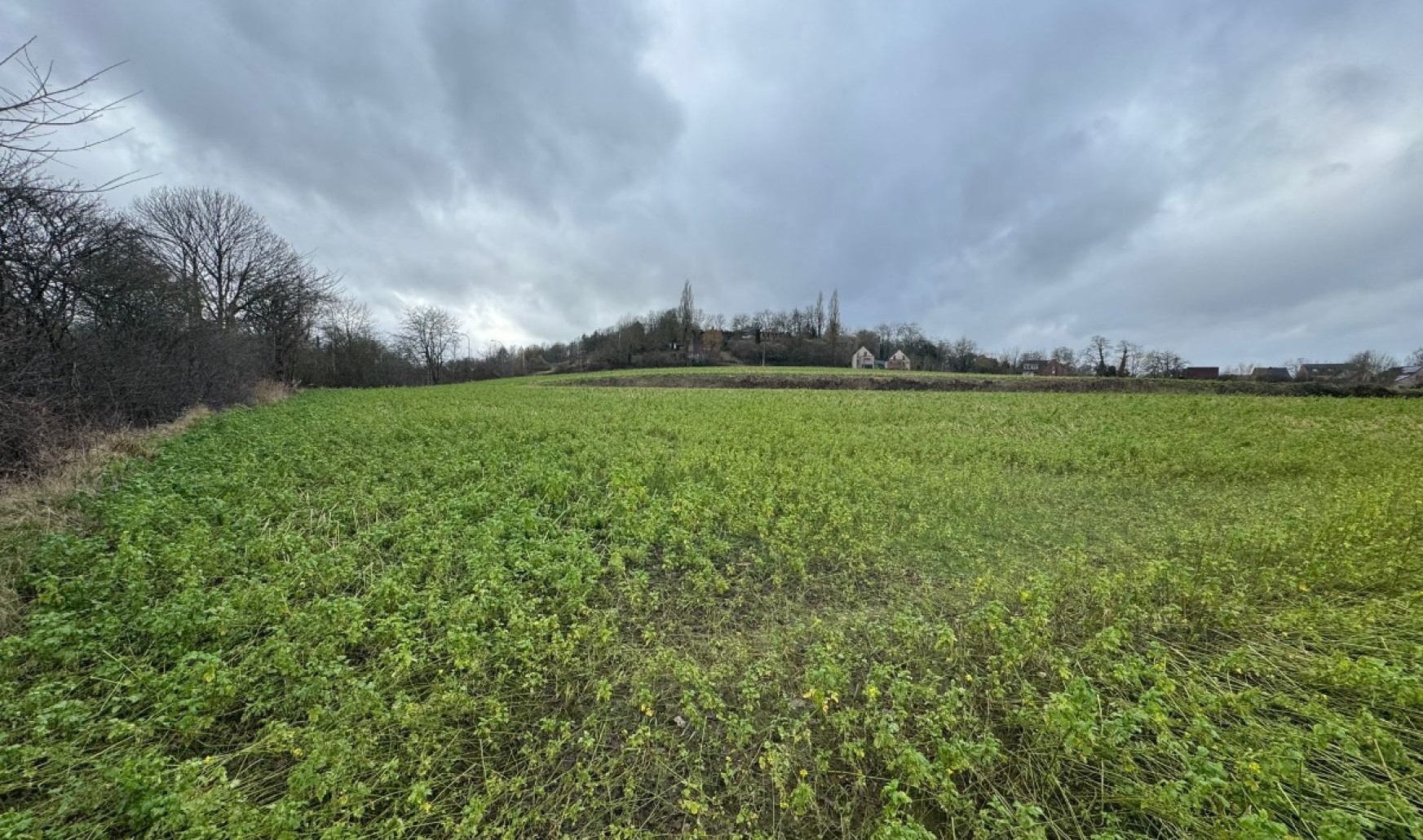 Zavelputstraat - zn - - 30 H - 3012