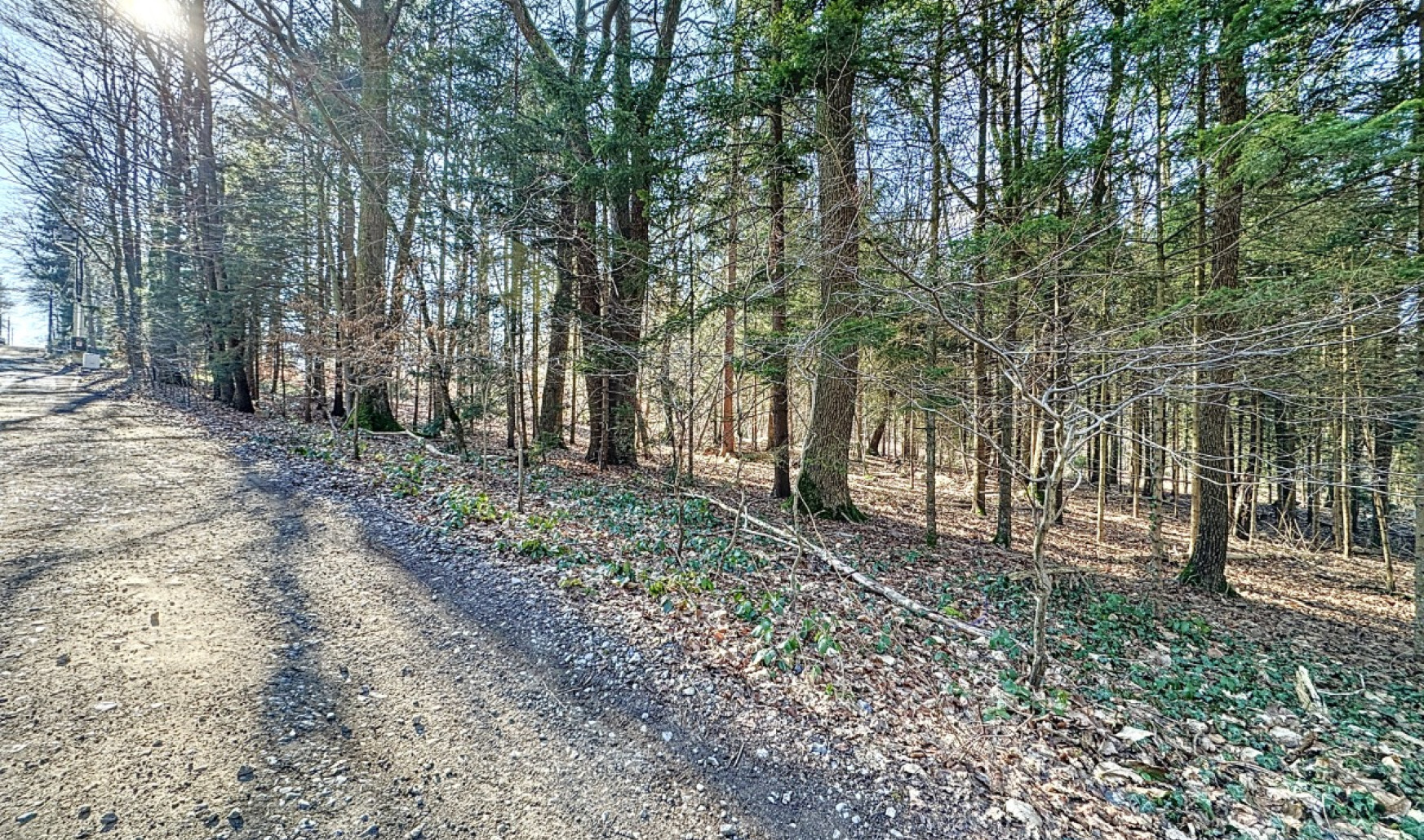 Drève Saint-Lambert - 1 - LOT2 - 4052