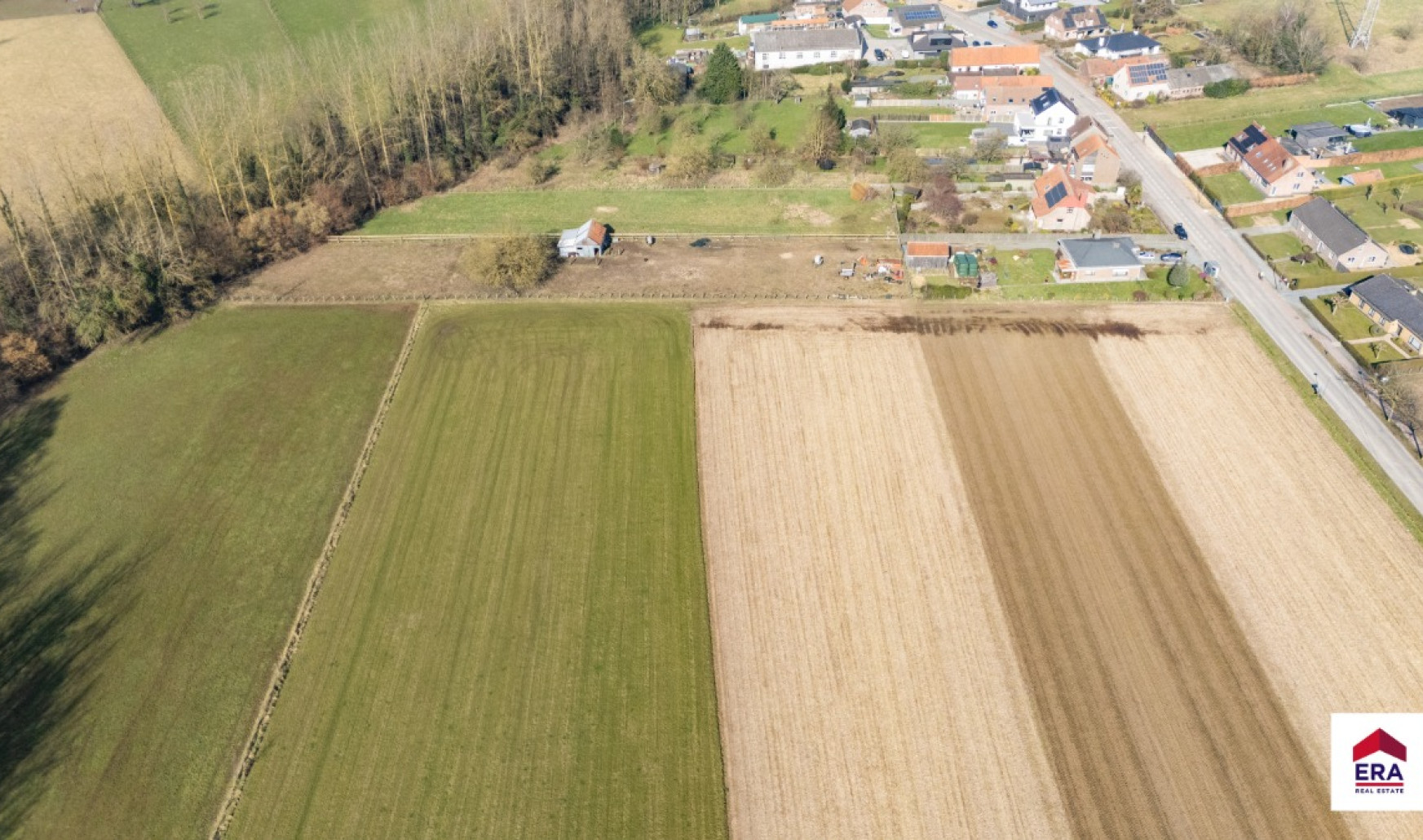 Velm - ZN - - B206/00L2 (HET ZAK) - 1730