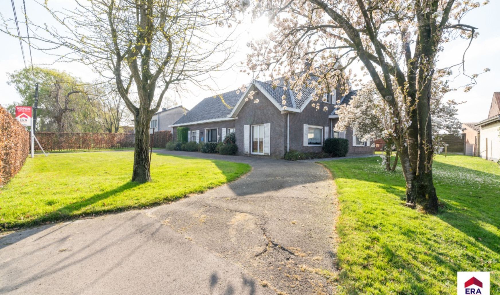 Abeelstraat - 25 - - E950/00P - 8755