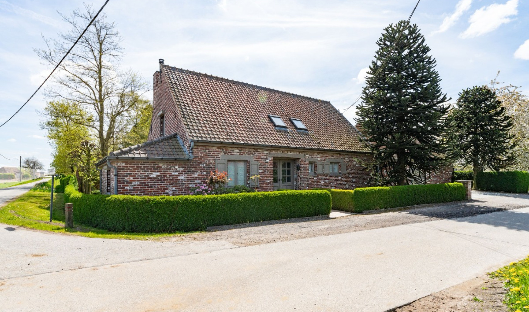 Rodepoortstraat - 8 - - 8850