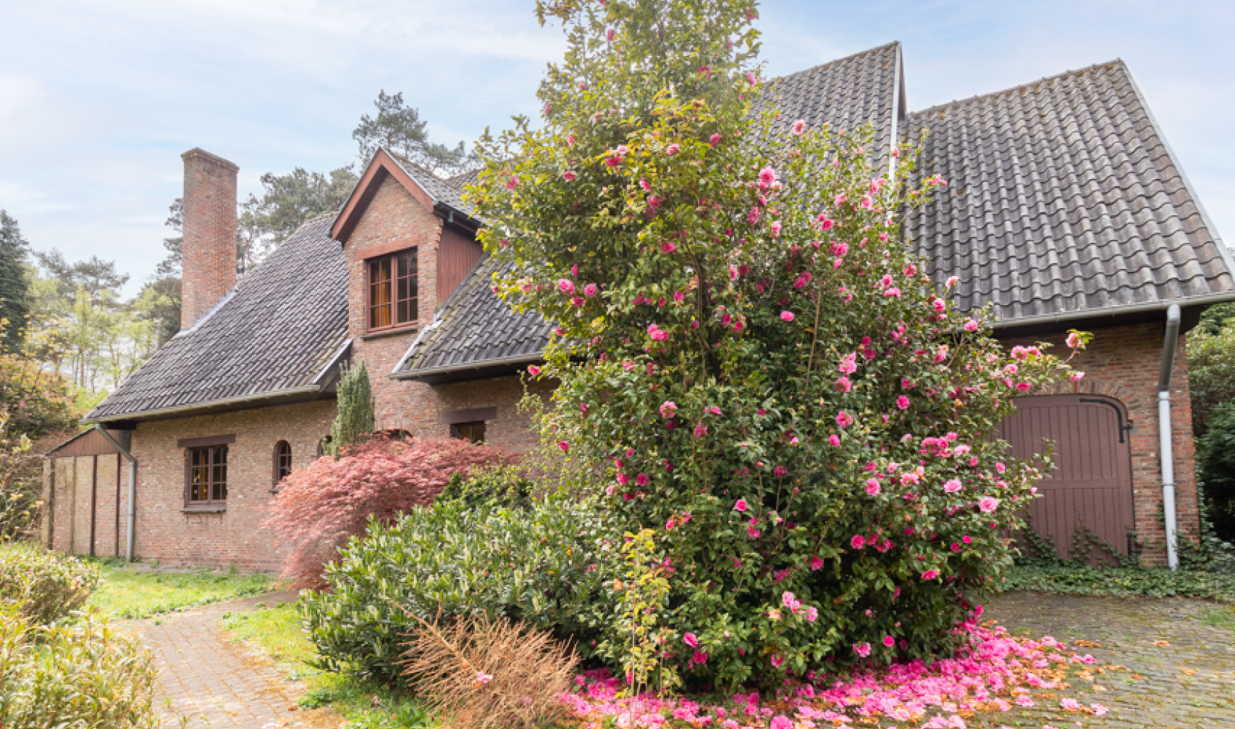 Hindelaan - 38 - - 2970