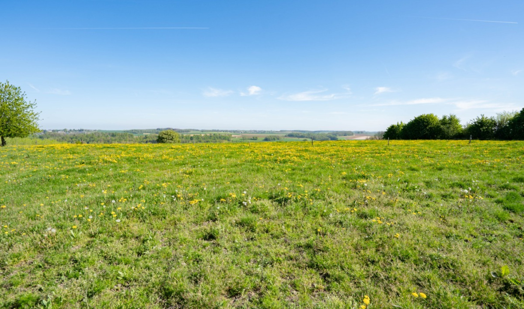 Chemin de la source - 0 - - lot 6 - 6940