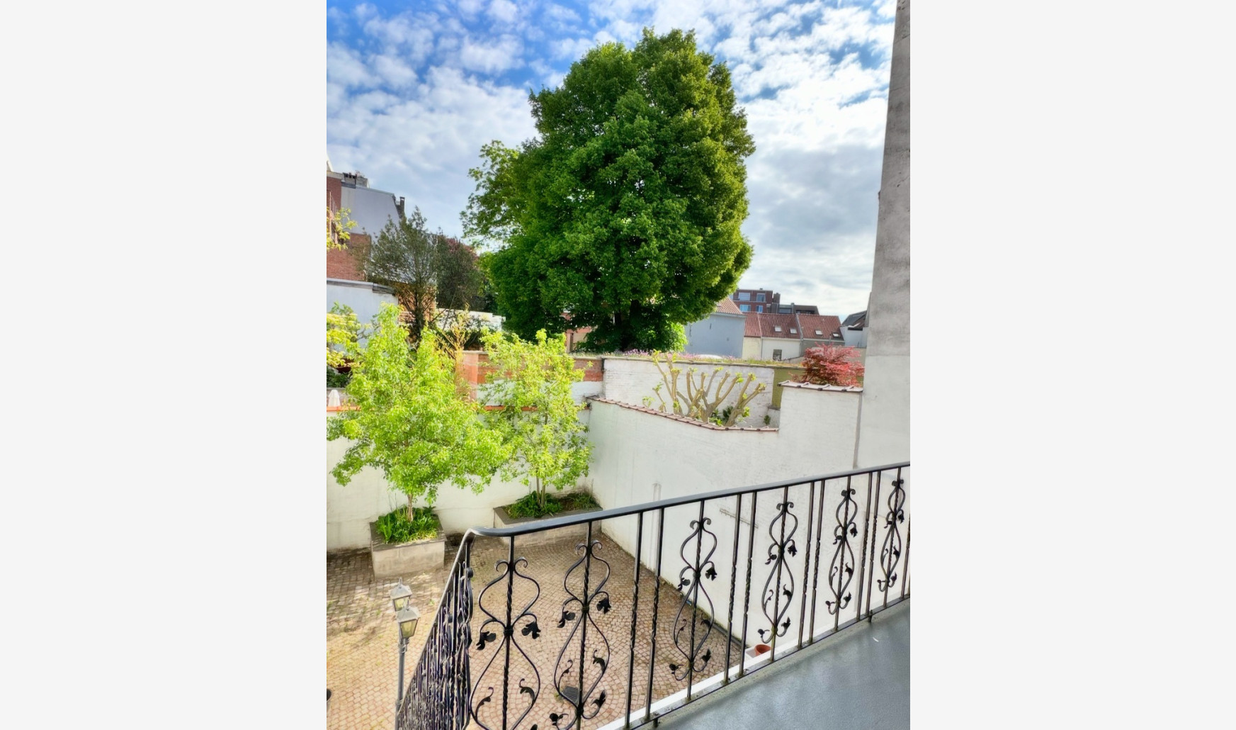 Molenstraat - 59 - - 2018